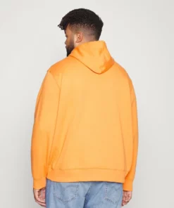 Lacoste PLUS - Sweat à Capuche - Fango -Lacoste Soldes Magasin 20c8c79b69c84ab0bd7a189e10238035