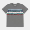 Lacoste T-shirt Imprimé - Heather Wall/multicoloured