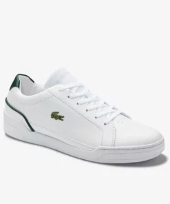 Lacoste Baskets Basses - Wht/dk Grn 7 Lacoste Baskets Basses - Wht/dk Grn -Lacoste Soldes Magasin 6184405999ce413f8766ac94750ed2f7