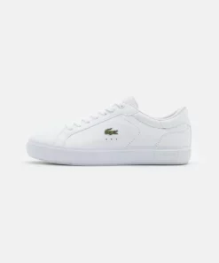 Lacoste POWERCOURT - Baskets Basses - White 7 Lacoste POWERCOURT - Baskets Basses - White -Lacoste Soldes Magasin 70fb13869ef6486f9c6f77ebbd81a869