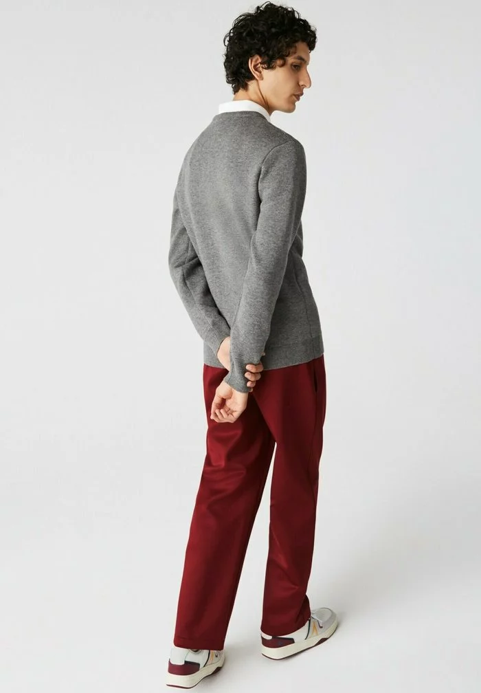 Lacoste PULLY - Pullover - Gris Chine 2 Lacoste PULLY - Pullover - Gris Chine – Image 2