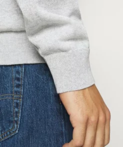 Lacoste Pullover - Argent Chine -Lacoste Soldes Magasin 9ec71a971dc34621b9c8f793350f3a35