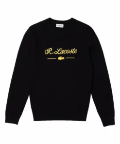 Lacoste PULLY - Pullover - Bleu Marine -Lacoste Soldes Magasin a018e966d59f4f76bd8e04db4f250ab9