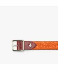 Lacoste Ceinture - Bordeaux Fango 7 Lacoste Ceinture - Bordeaux Fango -Lacoste Soldes Magasin aed820d7099048149423204e8760e0a2