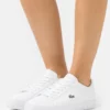 Lacoste POWERCOURT - Baskets Basses - White