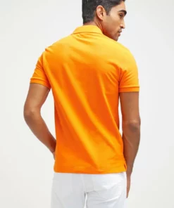 Lacoste Polo - Mango Chine -Lacoste Soldes Magasin cb40f7f188044932b3ee7317257748a3