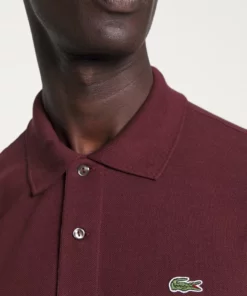 Lacoste Polo - Expresso 11 Lacoste Polo - Expresso -Lacoste Soldes Magasin d6a103fdb56a4f8c81d989b6cc43aaac