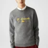 Lacoste PULLY - Pullover - Gris Chine