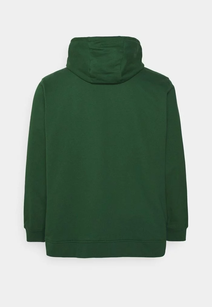 Lacoste PLUS - Sweat à Capuche - Green 2 Lacoste PLUS - Sweat à Capuche - Green – Image 2